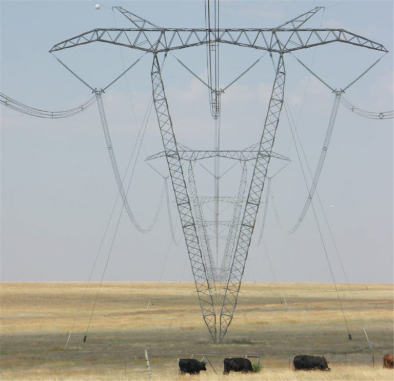 SA labor group stages nationwide protest