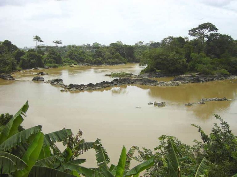 Gold rush along Sakubva River