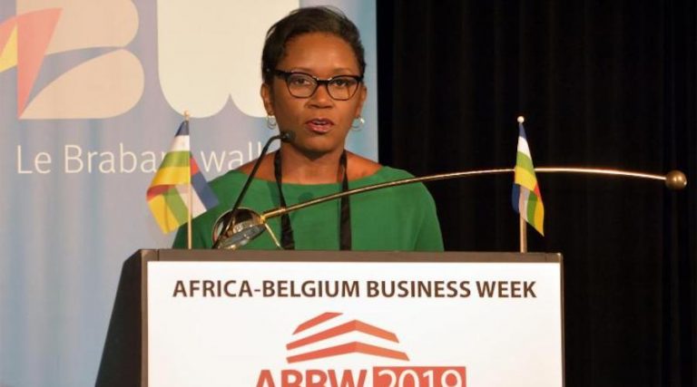 World Diamond Council advocates for Africa’s artisanal diamond miners at international forum