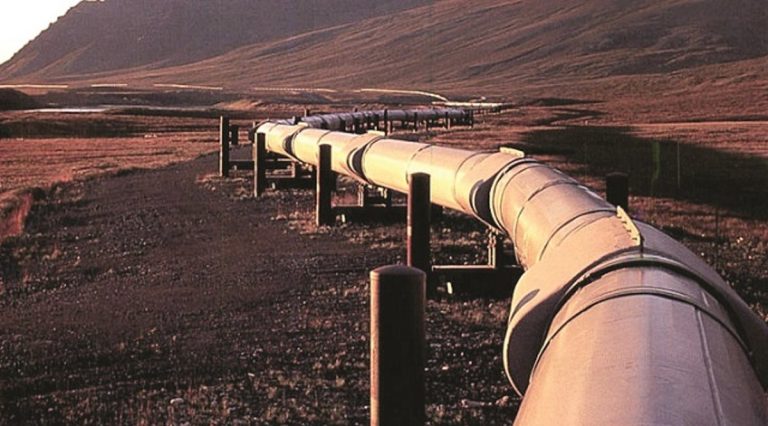 Zim expedites US$1.3bn second pipeline project