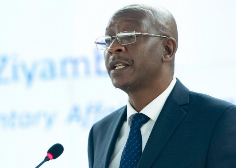 Ziyambi off-side on shoot to kill