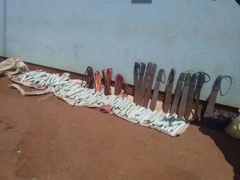 Kana MaShurugwi anotokuzeza