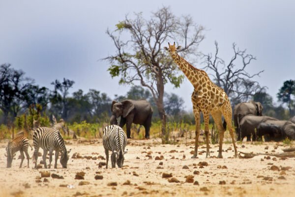 List of Zimbabwe National Parks