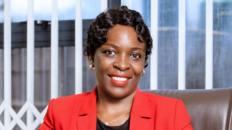 Critical Analysis of the Mines and Minerals Bill 2025