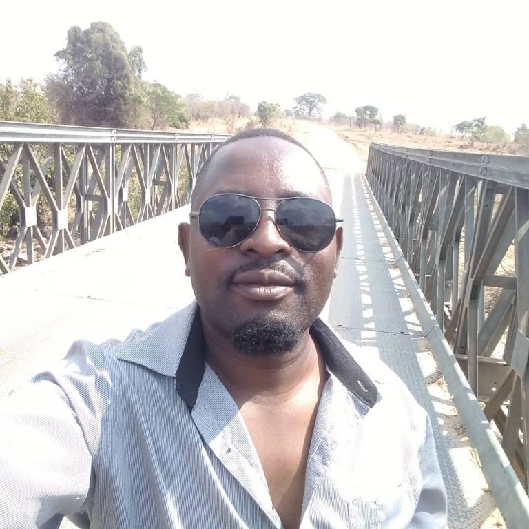 Gvt should decriminalize gemstone possession, Moyo