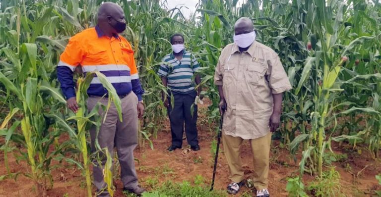 ZCDC ups the ante in food security ZCDC ups the ante in food security
