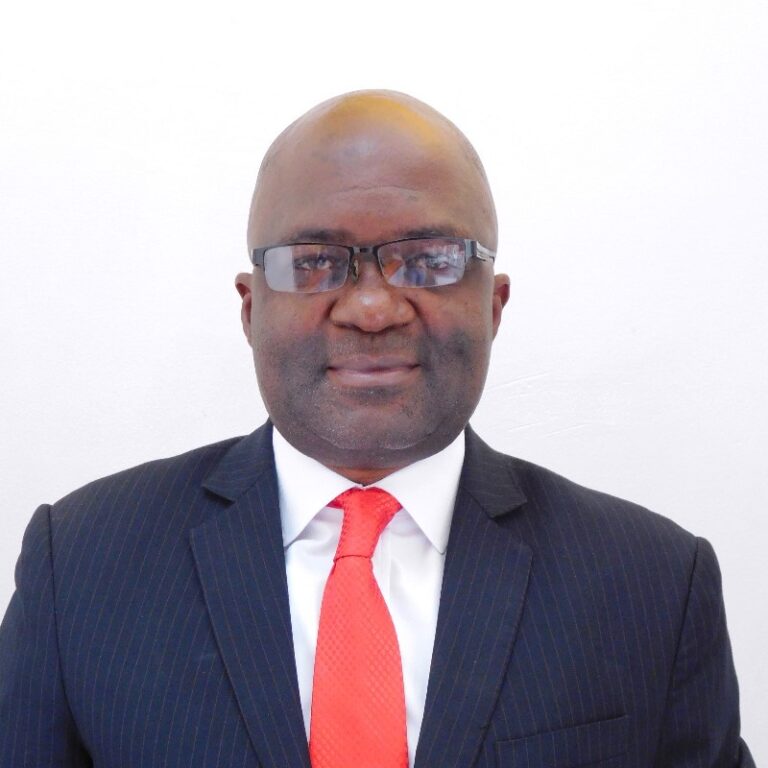 Prospecting for minerals