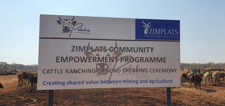 President to launch Zimplats Cattle Ranching Project