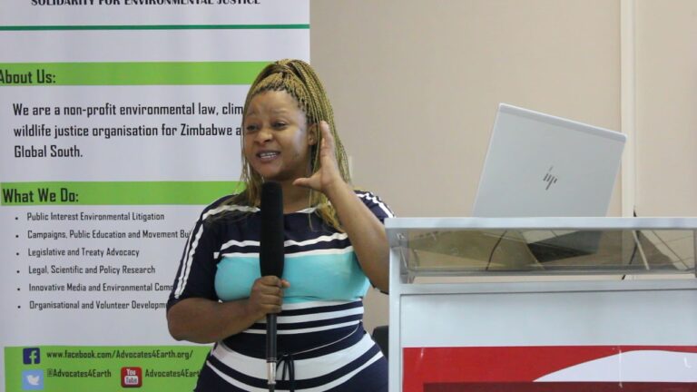 Extractive sector important towards the development of Zim