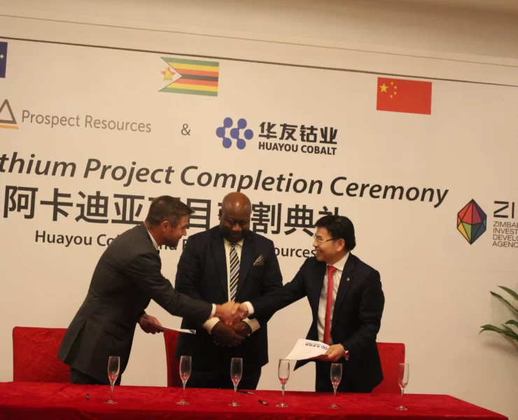 Its official, Arcadia lithium mine officially Chinese owned