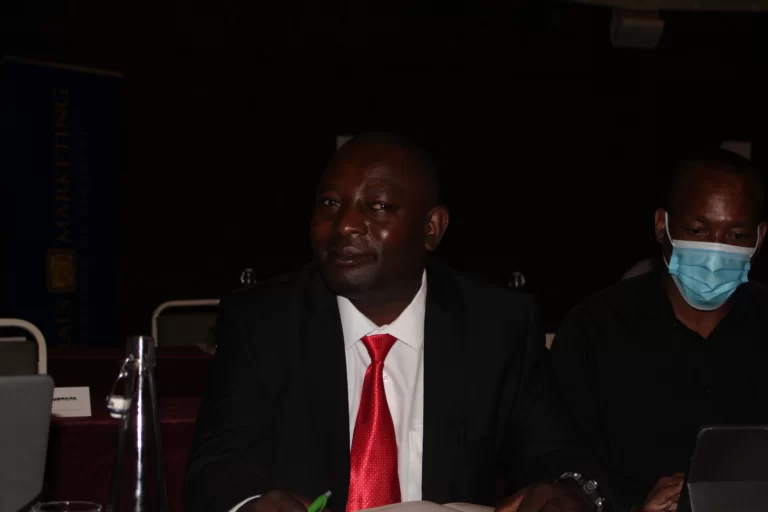 ZMF geared to promote Gemstone mining and marketing