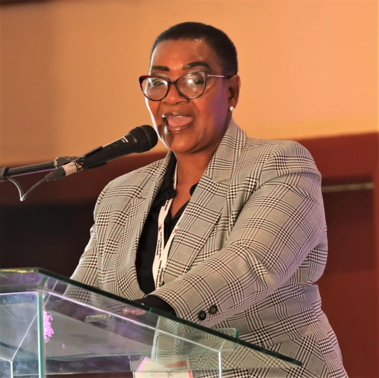 Zimbabwe Invites Chinese Investors to Explore Untapped Critical Minerals for EV Revolution