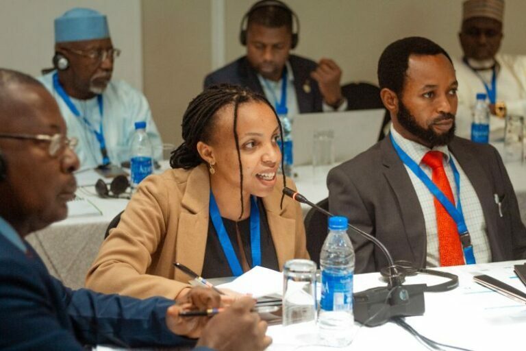 Corruption, tax evasions and incentives, major causes to illicit financial flows 