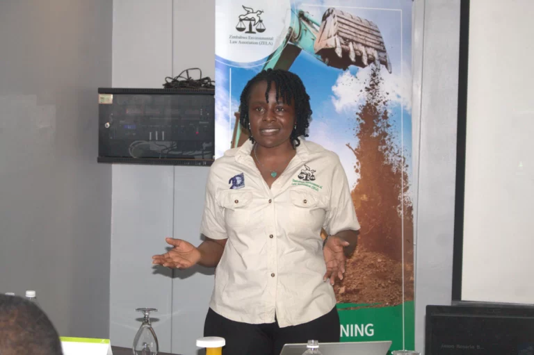 Collaborative Reforms Reshape Zimbabwe’s ASM Sector, Says ZELO