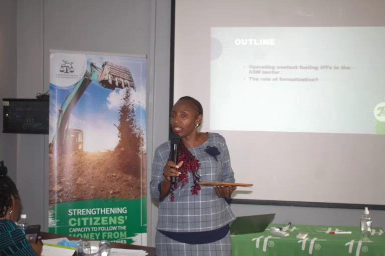 Who Are Critical Minerals Critical For?