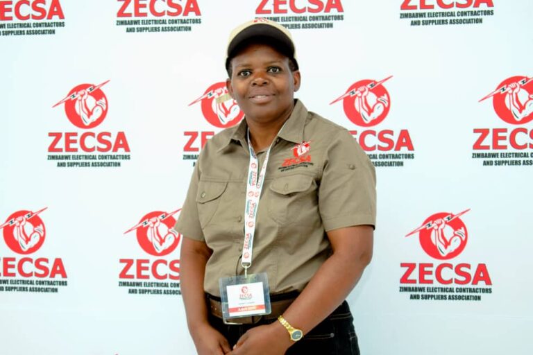 ZECSA formation delights the energy industry