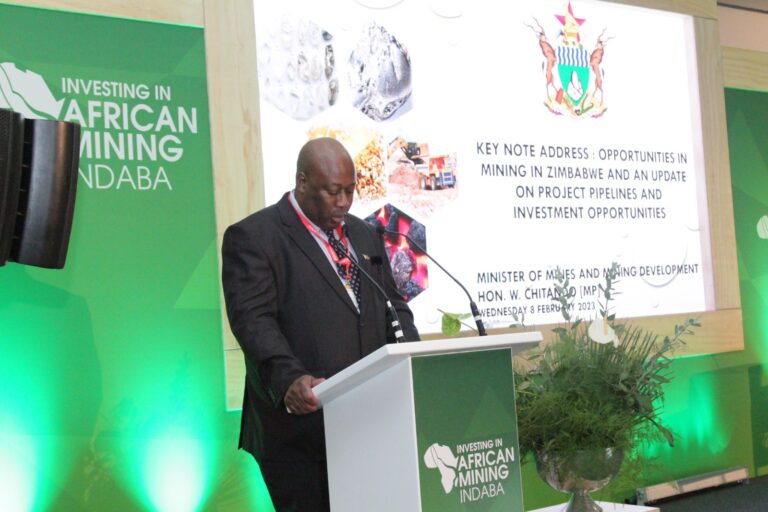 Investors enticed with Zim mining opportunities