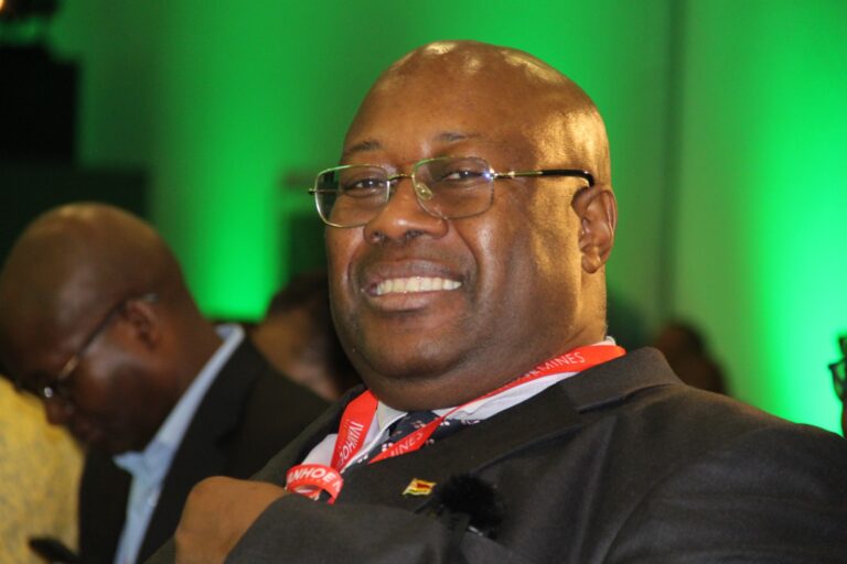 Not Just Mining: Zimbabwe Urges Global Investors to Manufacture and Industrialise