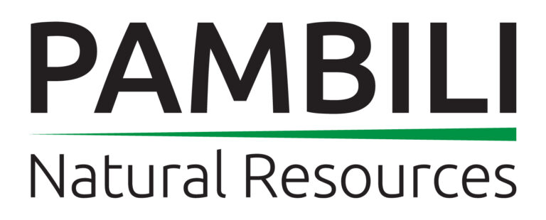 Pambili Raises Fresh Capital to Accelerate Gold Projects in Zimbabwe