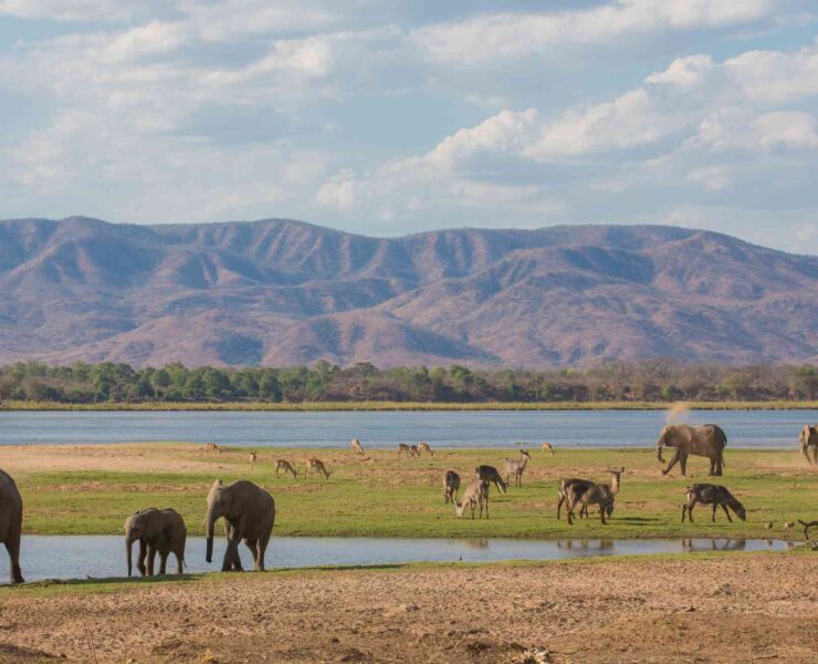 Mana Pools