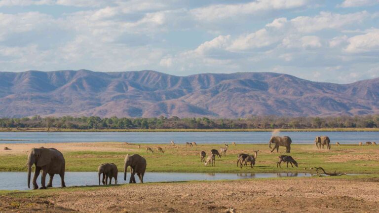 World heritage site in Zimbabwe targeted for oil exploration