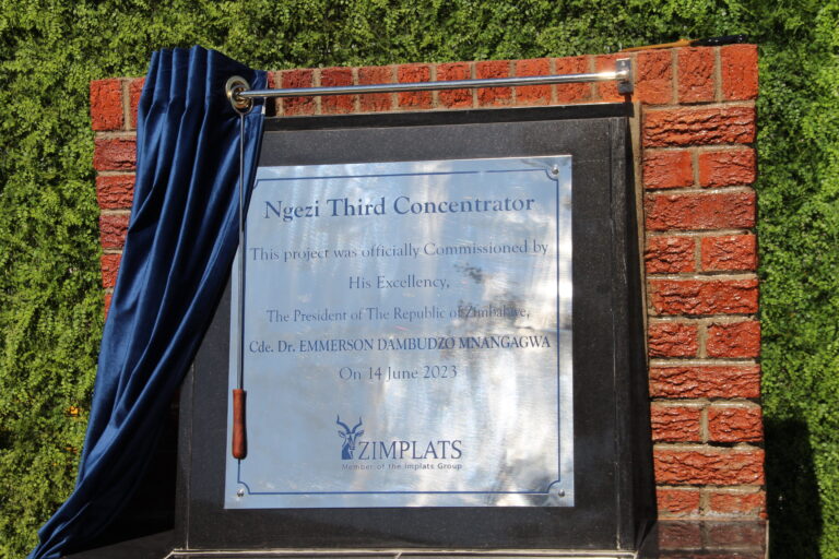 Emulate Zimplats, Invest in value addition!