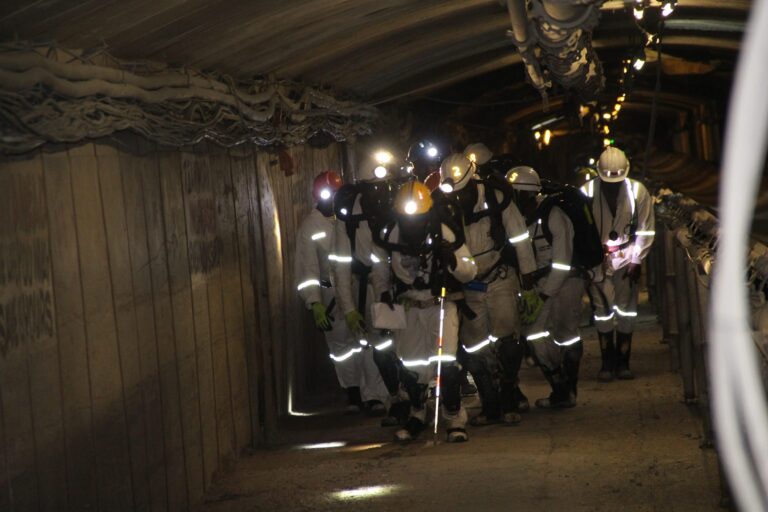 Mimosa, Blanket shine at National Rescue competitions