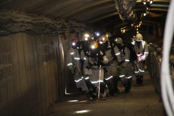 Mimosa MRAZ Mimosa MRAZ