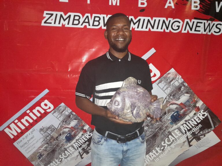 Zim Gemstones’ potential to become a Billion dollar industry