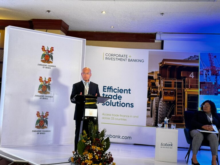 Provide Incentives for Value Addition, Offer Tax Holidays to Improve Critical Mineral Sector – Gong