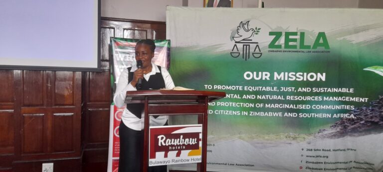 What is Just Transition? A Fadzai’s Typical Transition