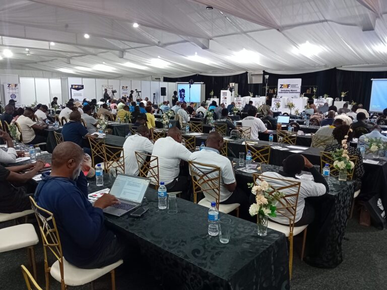 Mines and Minerals Amendment Bill to Ban Foreigners from Small-Scale Mining