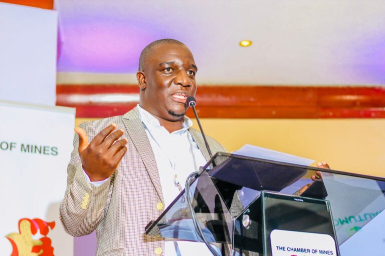 Zimbabwe Lacks Critical Mineral Strategy, Mutondoro Warns