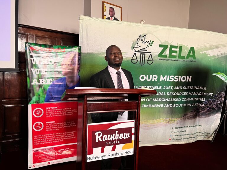 Moyo Calls for Reinstatement of Indigenization Laws to Protect National Interests