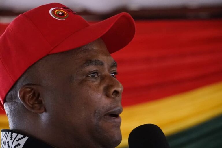 RioZim Crisis Deepens: ZDAMWU Appeals to Parliament and Labour Ministry for Urgent Intervention