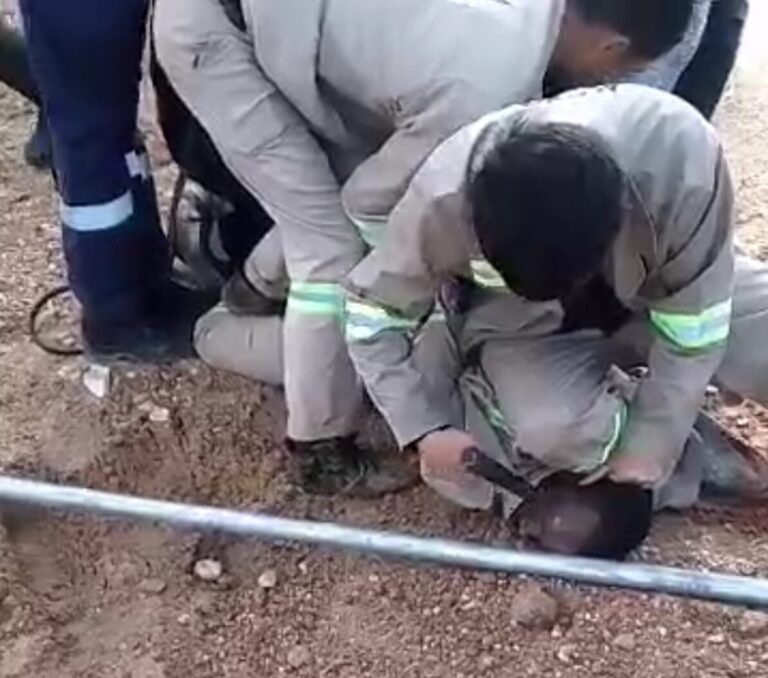 Gweru gun incident – Both Worker & Chinese boss to face criminal charges