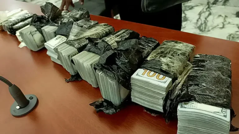 Chinese Nationals Sentenced to 7 Years for Illegal Mining, arrested with gold bars and $400,000 in cash