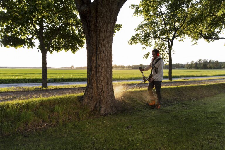 Battery vs Petrol: The Great Debate