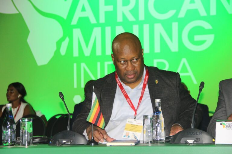 No to Raw Lithium Exports – Chitando