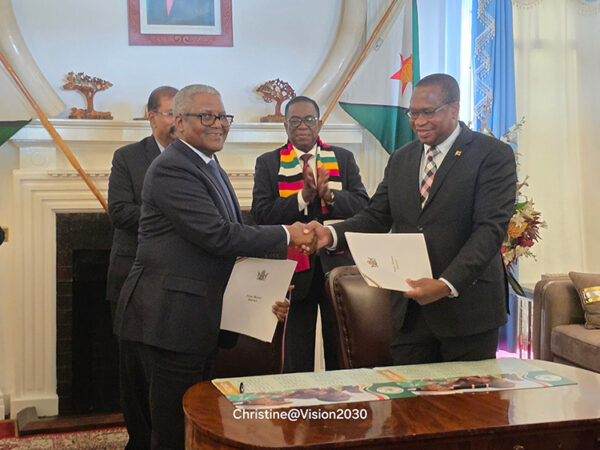 dangote and mthuli at State house