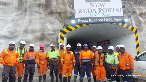 Freda New Portal
