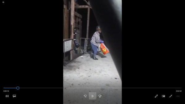 Gruesome mine recovery