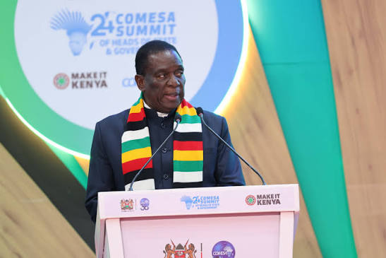Emmerson Mnangagwa